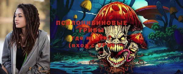 mix Горнозаводск