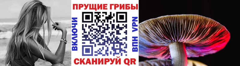 Галлюциногенные грибы мухоморы  Дудинка 